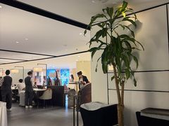 -羲和雅苑•北京烤鸭(国贸商城店)