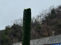 -泰山风景名胜区