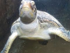 -福州罗源湾海洋世界旅游区