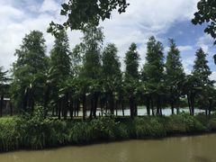 -上海怡沁园度假酒店