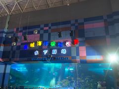 -泉城欧乐堡海洋极地世界