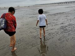 -南汇嘴观海公园