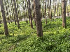 -上海交通大学(闵行校区)