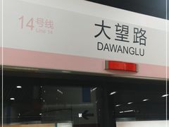-大望路(地铁站)