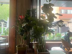 -the rug 飞毯 (朝阳公园店)