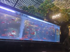 -阳光院坝小龙虾(红牌楼店)