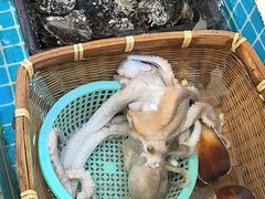 -鹰龙海畔度假酒店(咸祥店)