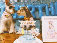 -百好乐宠物友好餐厅(朝外大街店)