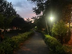 -瑞安威尼都