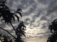 -南开大学滨海学院