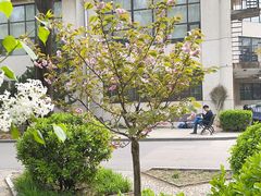 -中国政法大学(昌平校区)