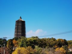 -玲珑塔公园