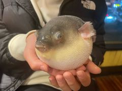 -永安鱼庄·镇江菜(丁卯店)