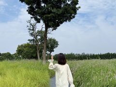 -汉长安城未央宫国家考古遗址公园