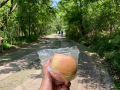 -紫金山山顶公园