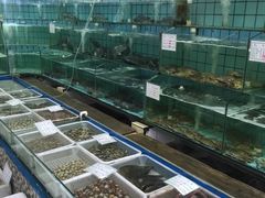-海岛渔村大酒店(云霄路店)