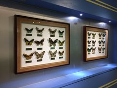 -上海昆虫博物馆