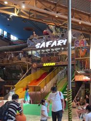 -卡通尼·Safari非洲探索乐园·生日会(金桥国际商业广场店)