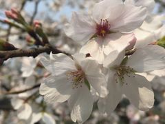 -百林公园-两江幸福广场