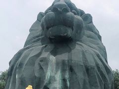 -南戴河国际娱乐中心