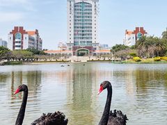 -厦门大学(思明校区)