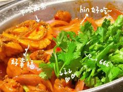 -禄婶鸡煲·打边炉