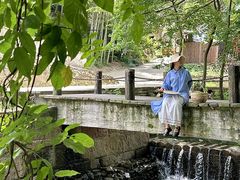 -天目湖山水园
