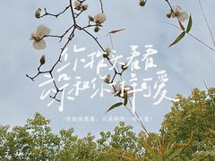 -苏州公园(双塔街道)