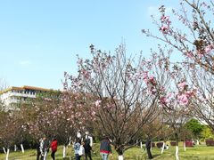-南华大学(红湘校区)