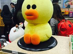 -line friends(明洞旗舰店)