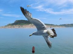 -海驴岛(荣成市)