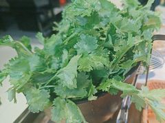 -辣伍鲜毛肚老火锅(元一店)