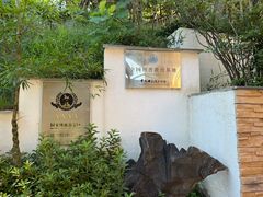-江南天池