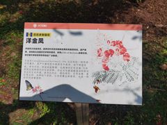 -中国科学院西双版纳热带植物园