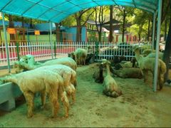 -荆州中山公园动物园