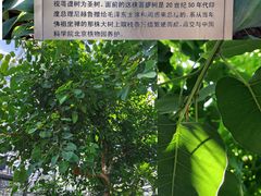 -国家植物园南园