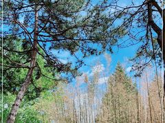 -稻香湖景欢乐岛温泉城堡