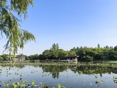 -杭州香格里拉·香宫中餐厅
