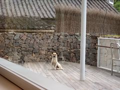 -原乡芦茨咖啡