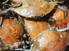 -南苑环球酒店云顶高级中餐厅(鄞县大道店)