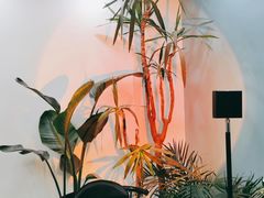 -大财·DA CAI花园餐厅.草坪婚礼.团建会议.围炉煮茶.求婚派对(三圣乡店)