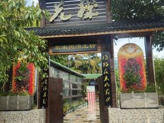-先机泉水鸡汤(南山老君洞店)