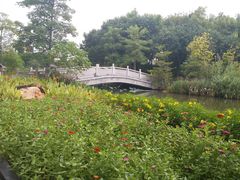 -映月湖公园