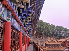 -东莞市大岭山森林公园