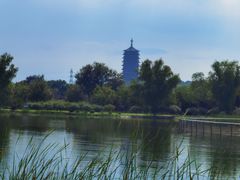 -永定河休闲森林公园