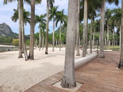 -南宁花花大世界景区