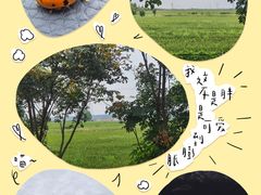 -泗洪洪泽湖湿地景区