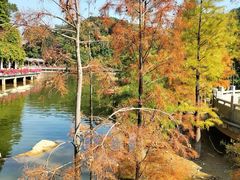 -广州市帽峰山景区