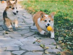 -北京山里寒舍度假酒店