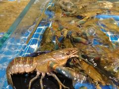 -川骄海鲜自助(河东店)